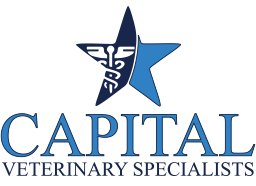 Capital Veterinary Specialists